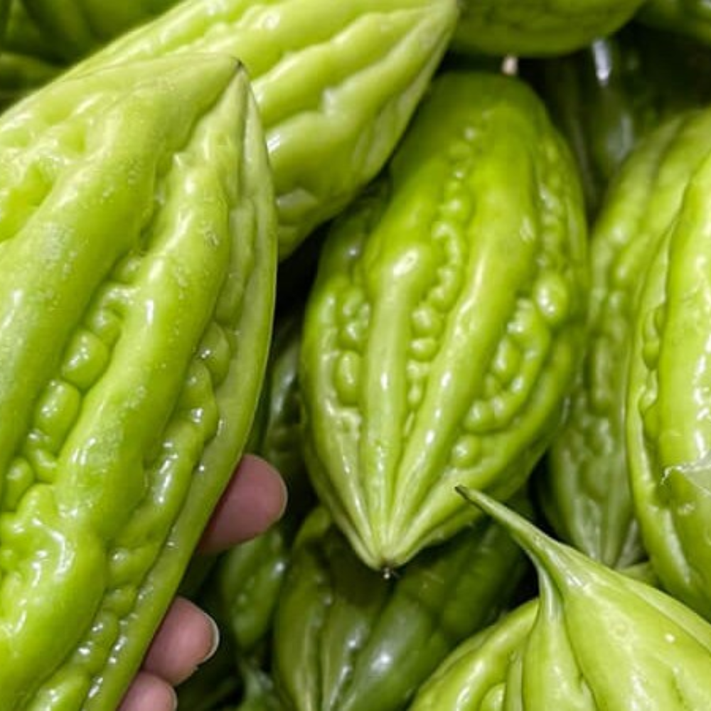Những Món Ngon Từ Cái Đắng Của Khổ Qua